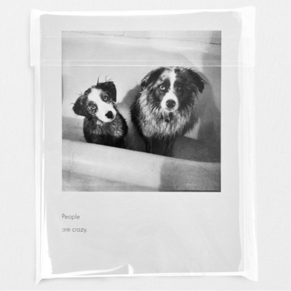 Quote Unquote All Occasions Card by Borealis Press - Picture 5 of 13